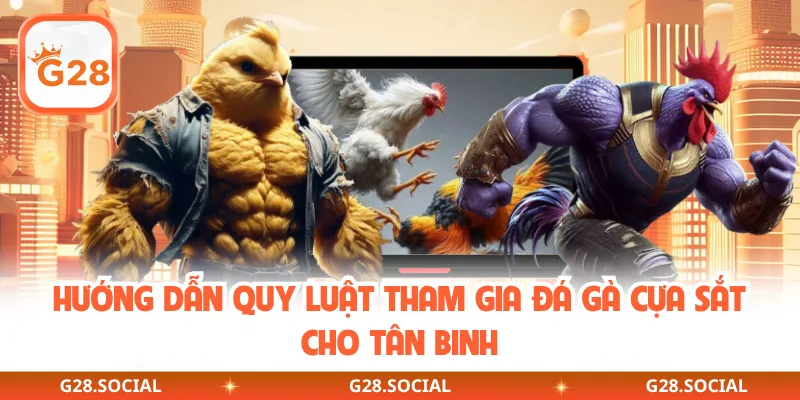 Hướng dẫn quy luật tham gia đá gà cựa sắt cho tân binh